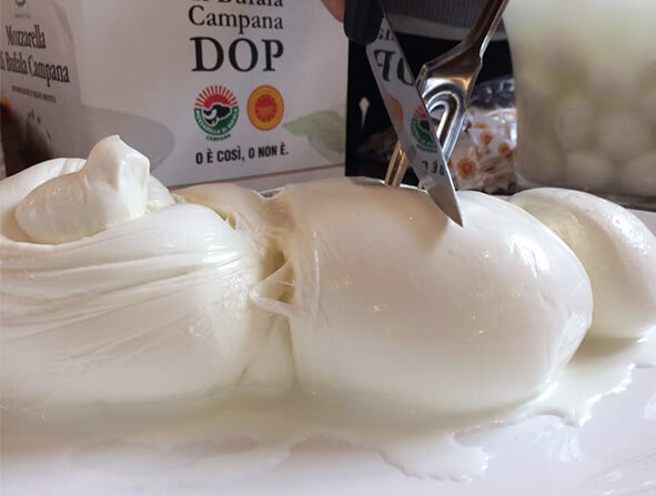 Mozzarella tavola campania mark label