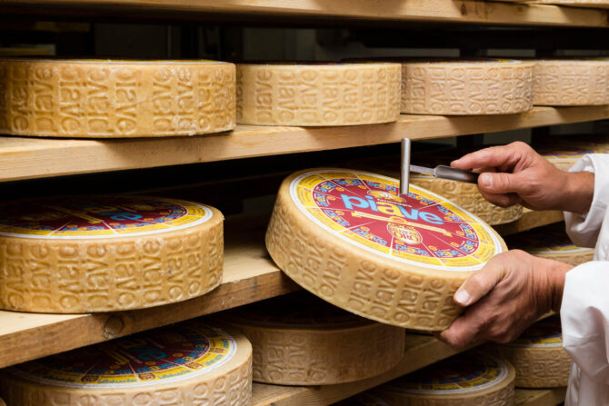 The consortium for the protection of formaggio piave